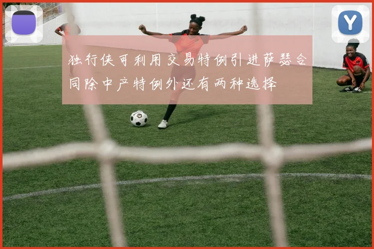 独行侠可利用交易特例引进萨瑟合同除中产特例外还有两种选择