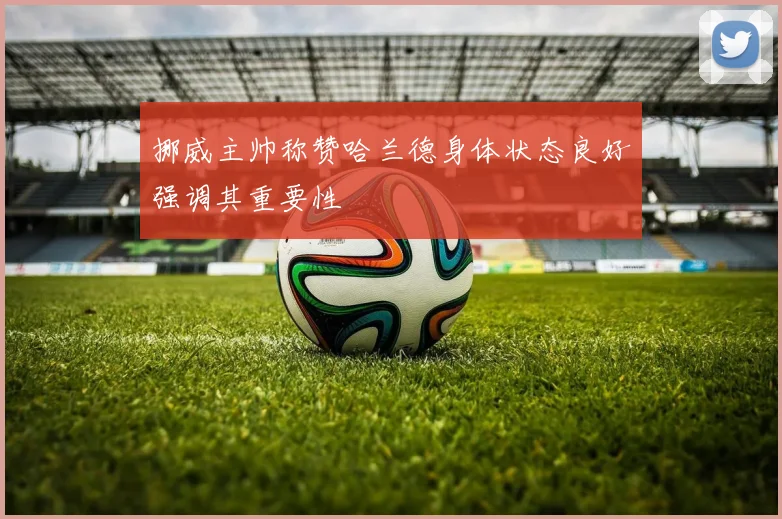 挪威主帅称赞哈兰德身体状态良好强调其重要性